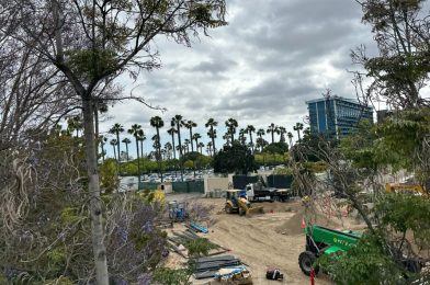 PHOTOS: Downtown Disney District Construction Goes Vertical at Disneyland Resort