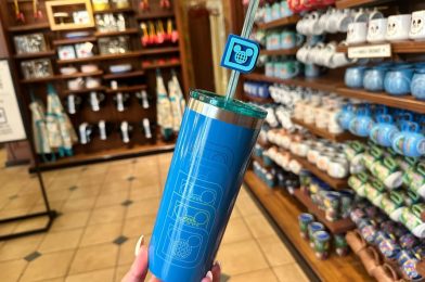 New Blue Retro Walt Disney World Cup With Straw Available