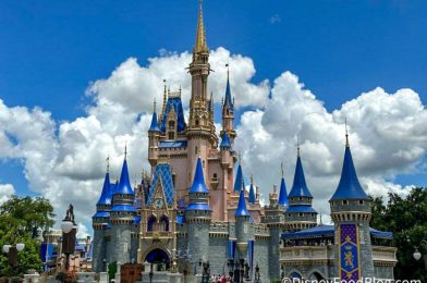 The 3 MOST EXCITING Things We Saw at Disney World This Week!