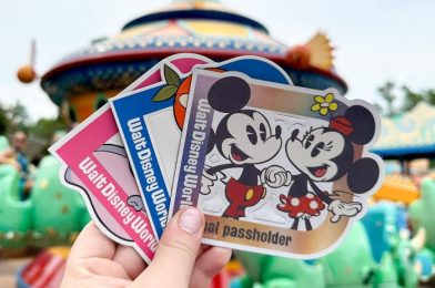 Hurry! This Exclusive Disney World Annual Passholder Perk Won’t Last Long