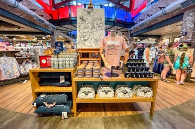 Check This Out! We Found Disney World Souvenirs for Every Budget