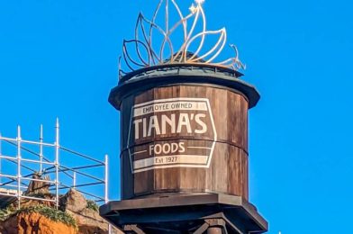 16 CHANGES We’ve Seen at Tiana’s Bayou Adventure So Far in Disney World