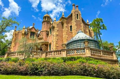 Mickey Beignets Got a NEW Haunted Mansion Makeover in Disney World
