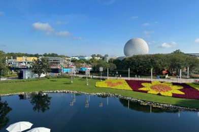 PHOTOS: New Walls & Speakers Covered in Boxes During World Celebration Construction at EPCOT