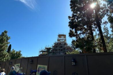 Splash Mountain Tree Peak Now Completely Removed at Disneyland