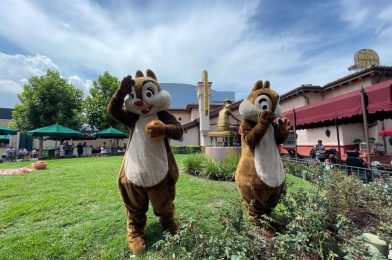 Max Goof and Chip ‘n’ Dale No Longer in Powerline or Rescue Rangers Costumes, Meet and Greets Relocated at Disney’s Hollywood Studios