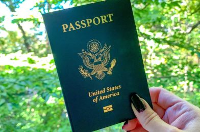 7 Tips To Make Getting a Passport Less Painful