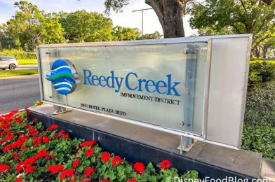 Leadership CHANGE Hits Disney’s Reedy Creek District