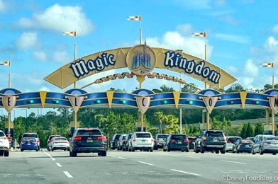 6 Things You Can’t Do in Disney World Next Week
