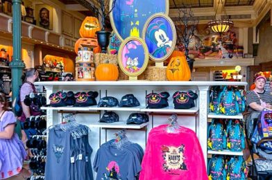 How to Get Disney Souvenirs for up to 50% Off Online!