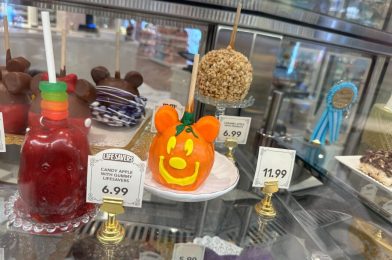 PHOTOS: Caramel Apples, Spider Web Cookies, and More Treats Arrive at Magic Kingdom for Halloween
