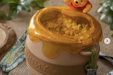 See the Popcorn Buckets of Tokyo Disneyland