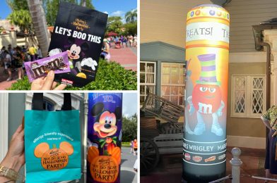 Concrete Poured at Tiana’s Bayou Adventure, Chicken Stuffed Mickey Waffles, & More: Daily Recap (8/13/23)