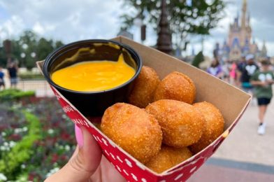Hands Down, This Is the BEST Magic Kingdom Snack Hack We’ve EVER Seen!