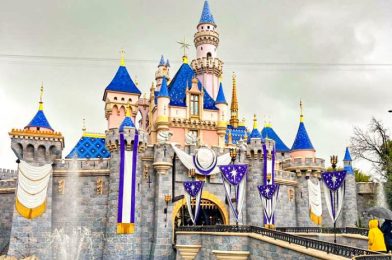 Hurricane Could Bring Severe Weather to Disneyland