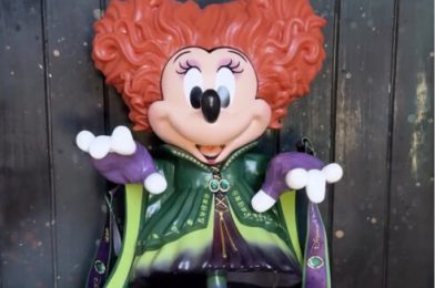 New Light-Up ‘Hocus Pocus’ Minnie as Winnie Sipper Coming to Disneyland Next Month
