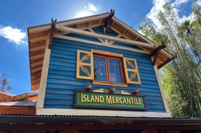 PHOTOS: Half of Island Mercantile Shop Closed for Refurbishment at Disney’s Animal Kingdom