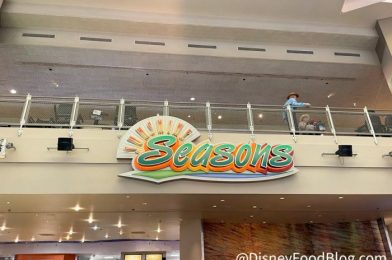 REVIEW: 2 NEW Snacks Have Arrived In EPCOT — But There’s A Catch!