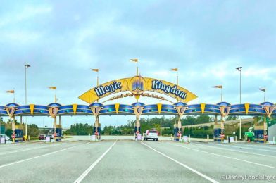 Watch Out for 7 CLOSURES in Disney World Next Week