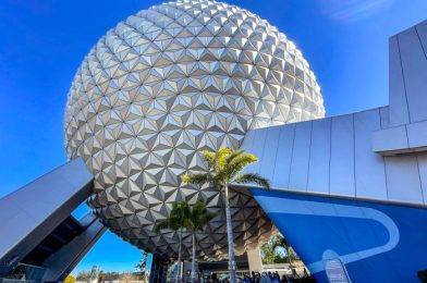 6 Rides That Will Waste Your Time in Disney World