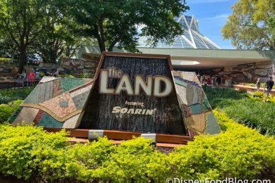BREAKING: Soarin’ Around the World Is CHANGING in EPCOT!