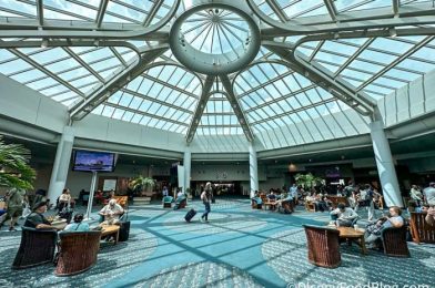 Orlando Airport Wants to Partner with Theme Parks to IMPROVE Security