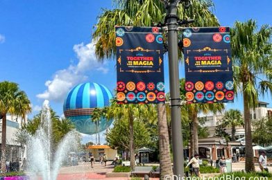A Popular Store has Now Reopened in a NEW Spot in Disney World!