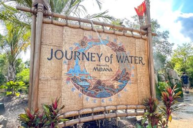Annual Passholder Previews Announced for the NEW Moana Attraction in EPCOT