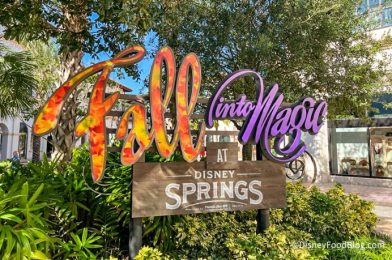 There Are 97 Stores in Disney Springs. Here Are the 9 That Everybody Loves.