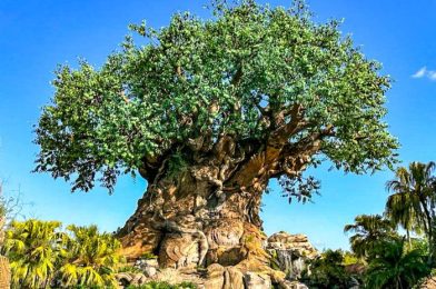 9 Things That Could Permanently CLOSE in Disney’s Animal Kingdom