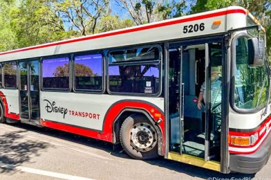 4 Hotel Transportation PROBLEMS You’ll Run Into at Disney World