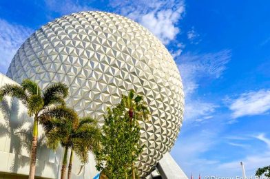 EPCOT Festivals Will Look Totally Different Next Year