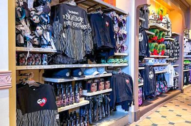 7 Things Disney Sells Online That You WON’T Find In the Theme Parks!