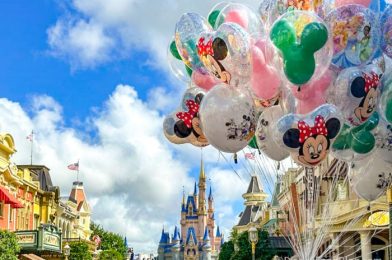 The WILDEST Things Happened at Disney World This Week!