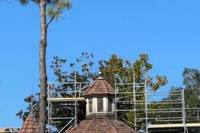 PHOTS: Br’er Rabbit Weathervane Removed as Tiana’s Bayou Adventure Construction Continues at Magic Kingdom