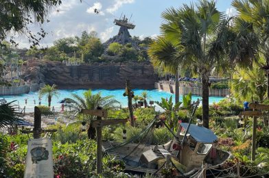 Couple Files Lawsuit Against Walt Disney Parks & Resorts for ‘Painful Wedgie’ Suffered at Typhoon Lagoon