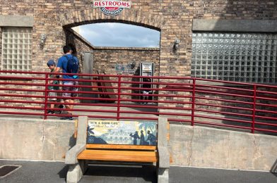 PHOTOS: New Themed Bench Art Advertises The Hollywood Tower Hotel Tip-Top Club at Disney’s Hollywood Studios