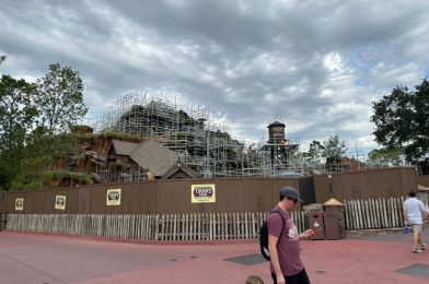 PHOTOS: Painting on Mountain, Barn Mural Progresses as Construction on Tiana’s Bayou Adventure Continues at Magic Kingdom