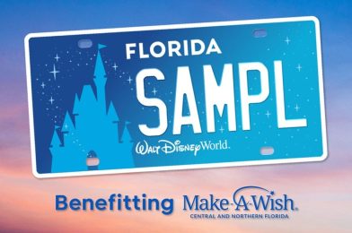 New Disney License Plate Benefitting Make-A-Wish Rolling Out in Florida