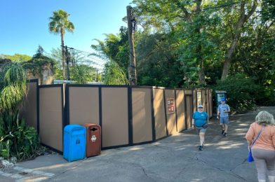 New Structure Visible Behind Harambe Market Construction Walls in Disney’s Animal Kingdom