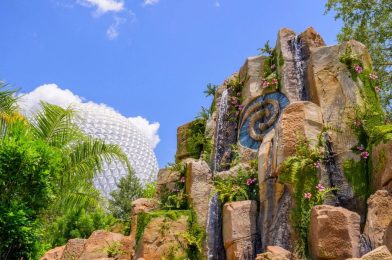 Journey of Water Opening Date Plus Moana Meet & Greet Coming