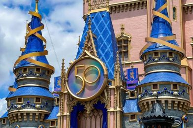 DON’T WORRY! Disney Just Confirmed These 50th Anniversary Additions Are Here to STAY
