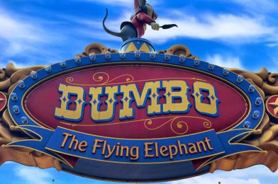 Dumbo The Flying Elephant Ride Review