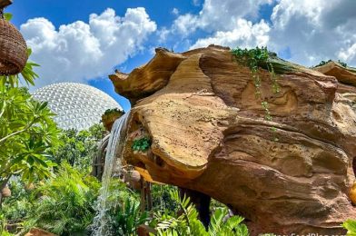 Why Disney World Water Is the WORST