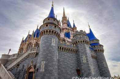 You Won’t Believe This Disney World SECRET – But You Will Thank Us for It!