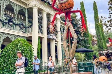 ALERT: The FIRST Holiday Decorations Have Appeared in Disneyland!
