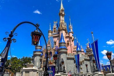 Disney World’s Holiday Weekend Crowds Are NO JOKE