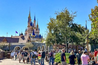 6 Places Where DFB Reporters HIDE When They Need a Break in Magic Kingdom
