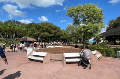 PHOTOS: Trees Removed From Bench Areas Near The Land Pavilion at EPCOT