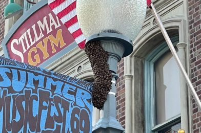 ‘NOT THE BEES!’: Hundreds of Bees Take Over Top of Lamppost at Universal Studios Florida